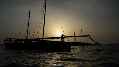 Áreas marinhas protegidas combatem efeitos das alterações climáticas
