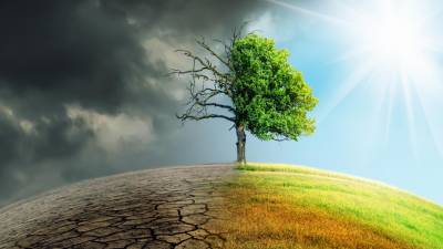 Rede ambientalista europeia pede mais ambição nos planos dos Estados para energia e clima
