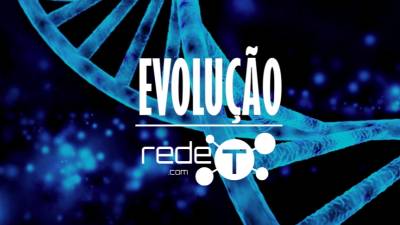 REDE-T junta-se ao evento ‘Black Friday’