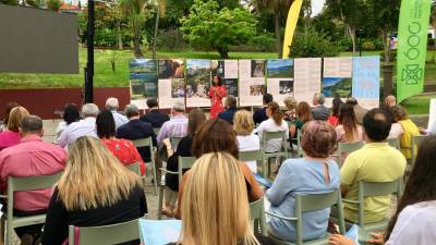 Rota dos Vinhos da Madeira “é mais um elemento diferenciador do destino”