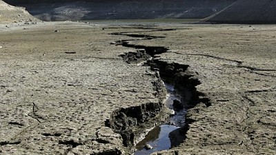 Seca na Califórnia matou mais de 102 milhões de árvores