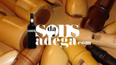 ‘Sons da Adega’ inicia amanhã concertos no Instituto do Vinho
