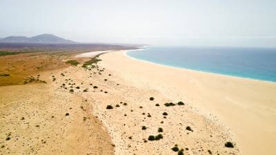 Tartarugas em Cabo Verde não estão a adaptar-se às alterações climáticas