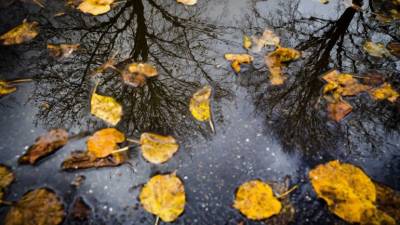 Temperaturas de Outono chegam ao continente no domingo
