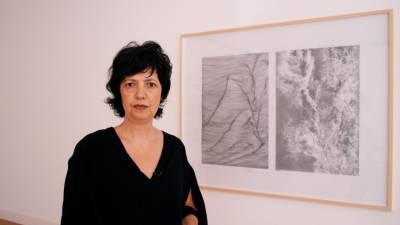 Teresa Gonçalves Lobo comenta amanhã trabalho artístico de Sérgio Benedito