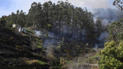 Termina hoje prazo para municípios substituírem proprietários na limpeza de terrenos