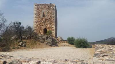 Tribunais com vários processos para evitar destruição de sítios arqueológicos no Alentejo