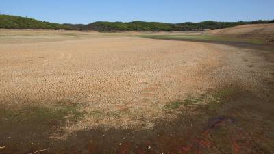 Tribunal de Contas recomenda revisão de plano de combate à desertificação