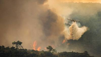 Três meios aéreos e mais de 150 operacionais combatem fogo em Cinfães