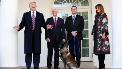 Trump condecora cão Conan por papel na operação que levou à morte de al-Baghdadi