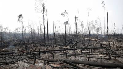 Trump oferece ajuda a Bolsonaro no combate aos incêndios na Amazónia