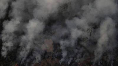 UE coloca experiência ao serviço do combate aos incêndios da Amazónia