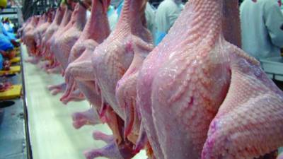 União Europeia proíbe exportações de carne, principalmente aves, de 20 fábricas brasileiras