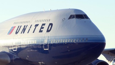 United Airlines investiga morte de coelho gigante durante um dos seus voos