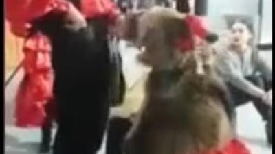 Urso usado para entretenimento magoa mulher durante programa de TV