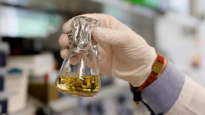 Vacina desenvolvida no Chile avança para a fase de testes pré-clínicos