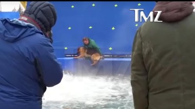 Vídeo regista cão a ficar submerso após ter sido forçado a entrar em águas agitadas para a gravação de um filme