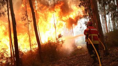 Vento pode colocar em risco habitações em Albergaria-a-Velha