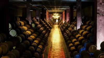 Vinhos da Bairrada em 2019 com menos quantidade e melhor qualidade