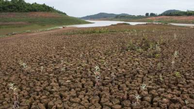 Vinte distritos do centro e sul de Moçambique com falta de alimentos