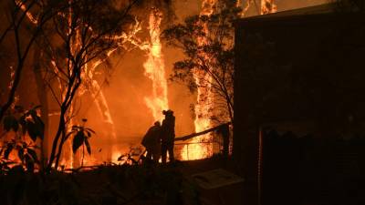 Vários incêndios fundem-se num único a norte de Sydney