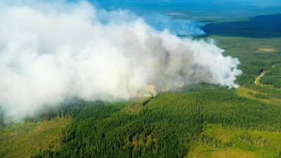 Vários países da UE enviam reforços para ajudar Suécia a combater incêndios