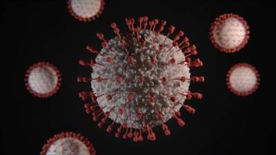 Vírus já matou 364.362 pessoas e infectou mais de 5,9 milhões em todo mundo