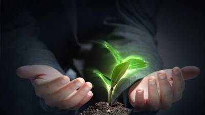 Washington é primeiro estado norte-americano a legalizar “compostagem humana”