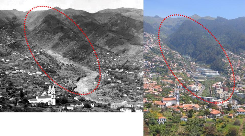 Ribeira Grande de Santo António passado e presente. Que futuro?