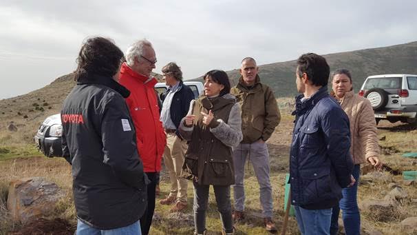 Susana Prada sobe amanhã ao Monte para ver limpeza de floresta queimada