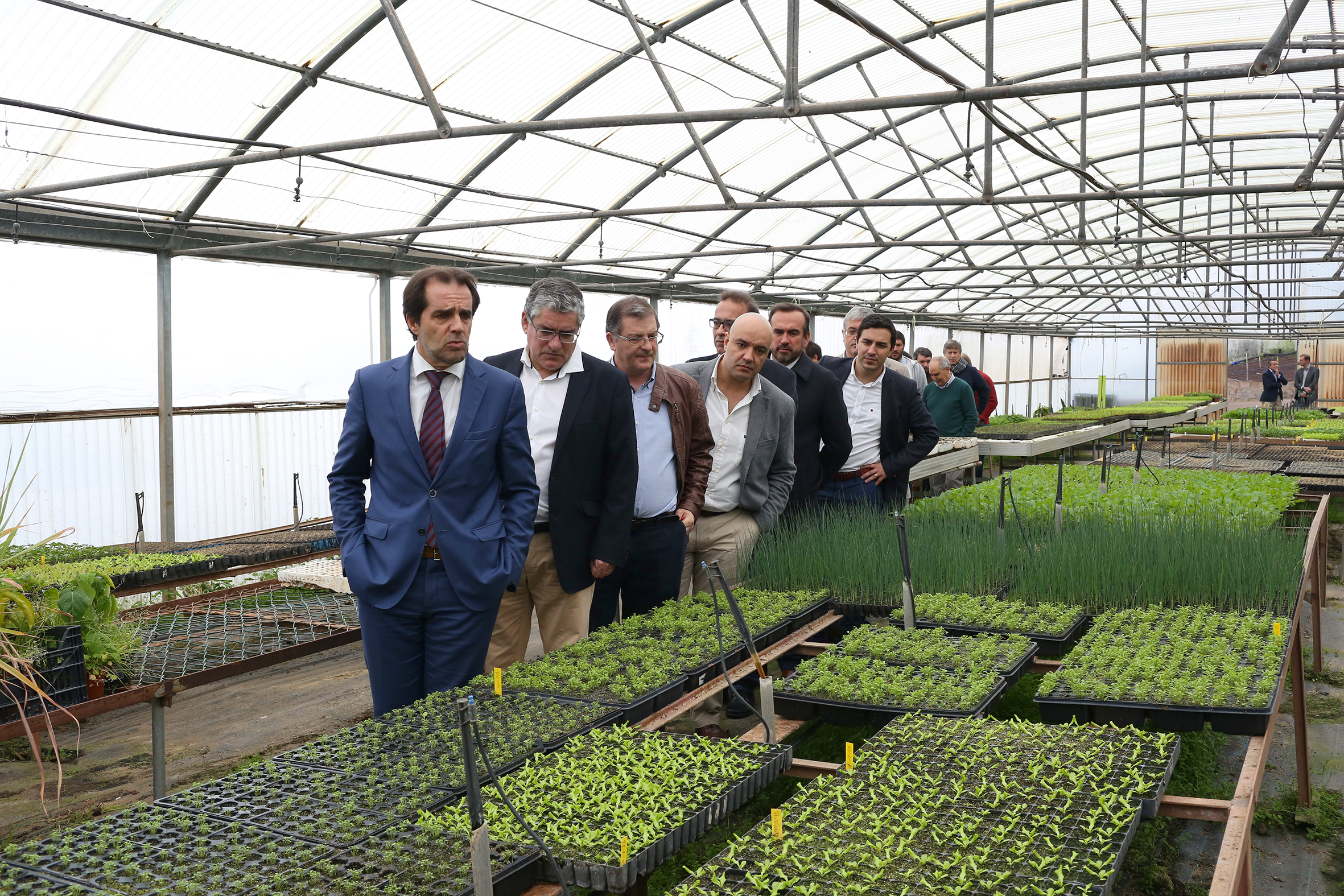 Escola Agrícola da Madeira inaugurada segunda-feira em São Vicente