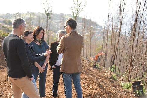 Governo limpa 7,5 hectares de floresta ardida na Choupana