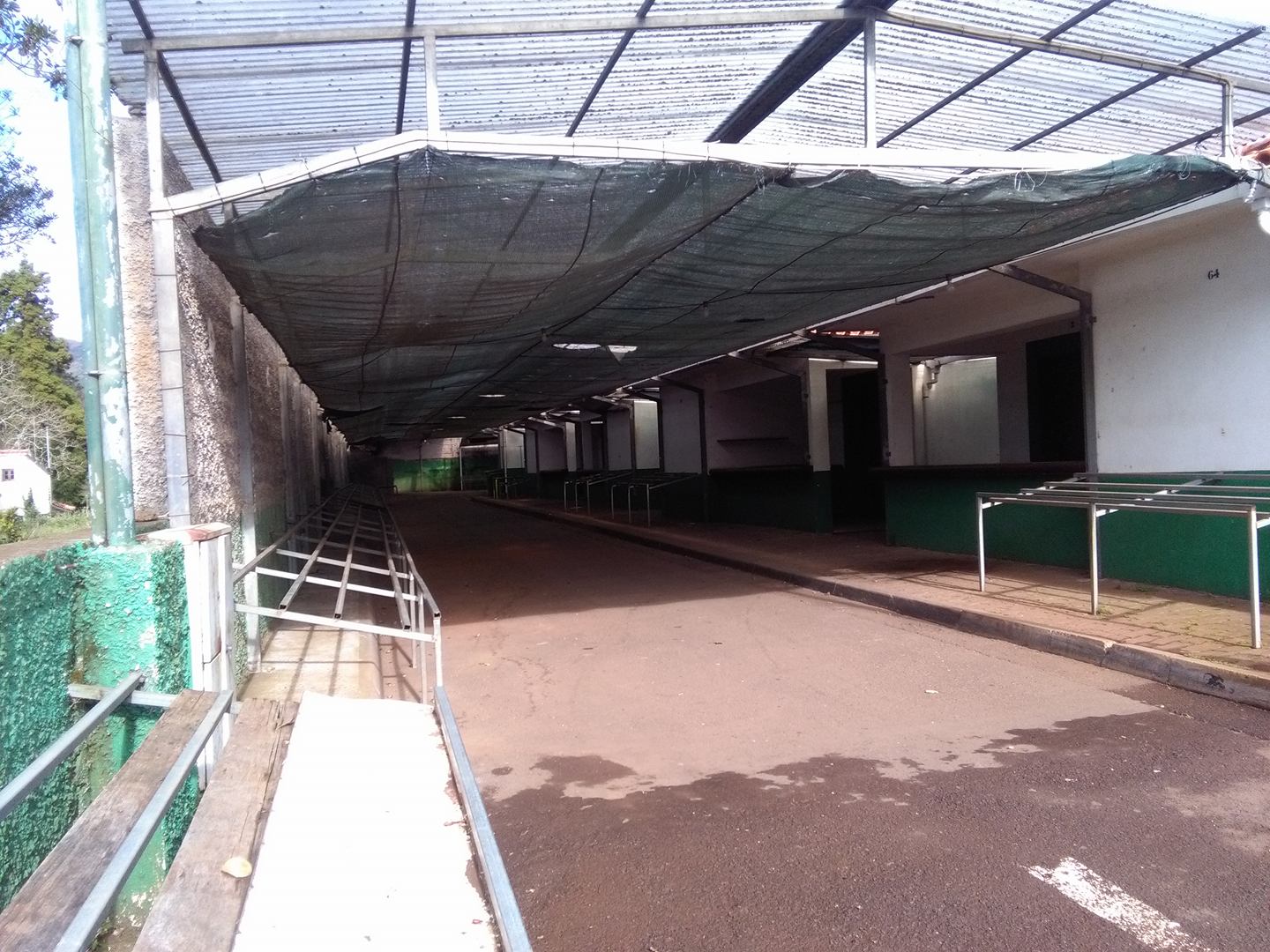 CDS lamenta falta de condições no mercado do Santo da Serra