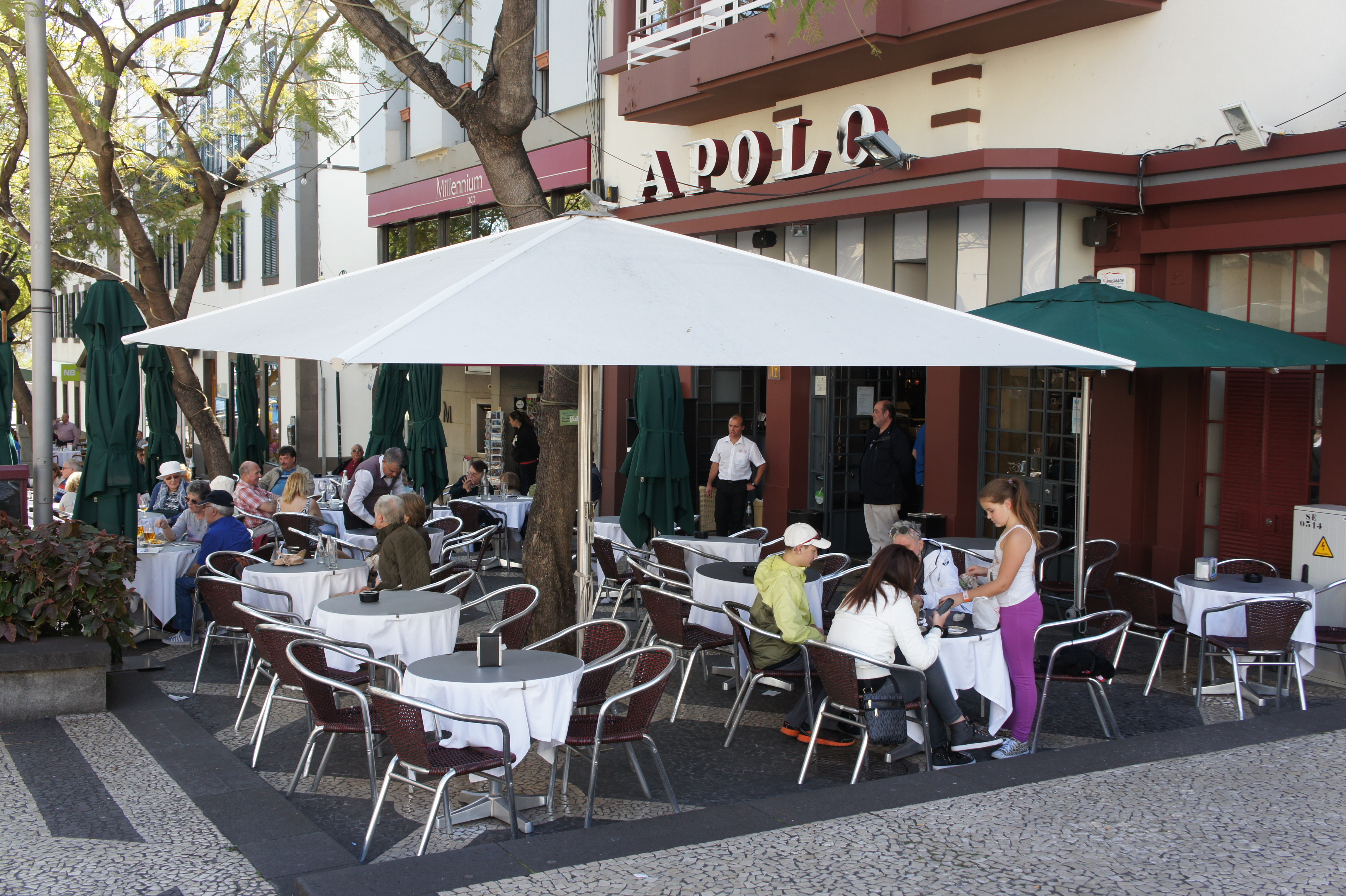 Rubina Leal debate amanhã comércio no Café Apolo, às 18 horas