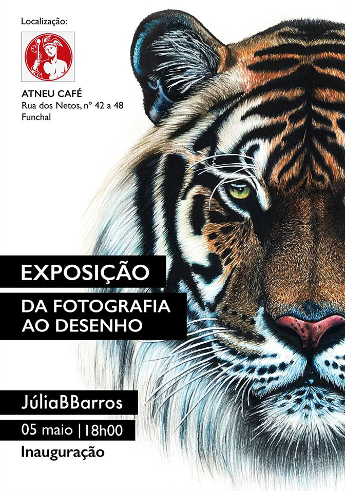 Júlia Barros expõe a partir de amanhã no Funchal Ateneu Café
