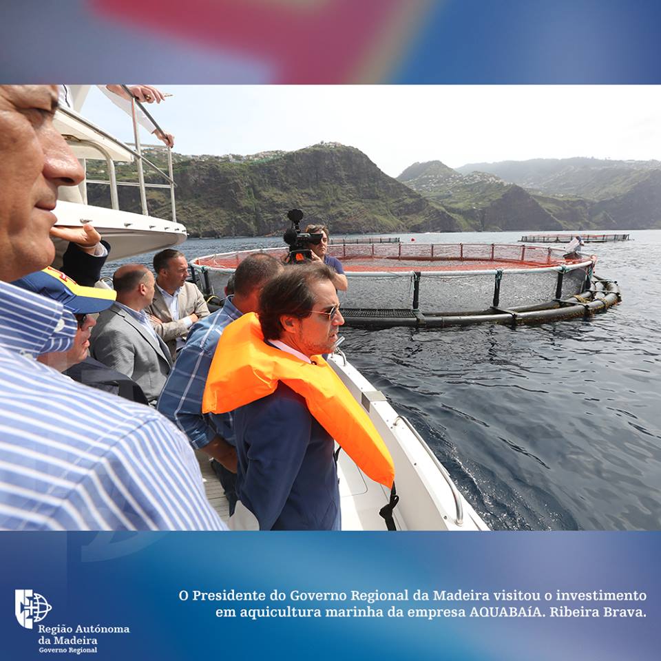 Miguel Albuquerque visitou jaulas de aquacultura ao largo do Campanário