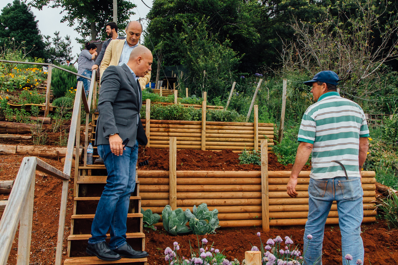 CMF salienta projecto do “Pomar Comunitário” no bairro do Palheiro Ferreiro