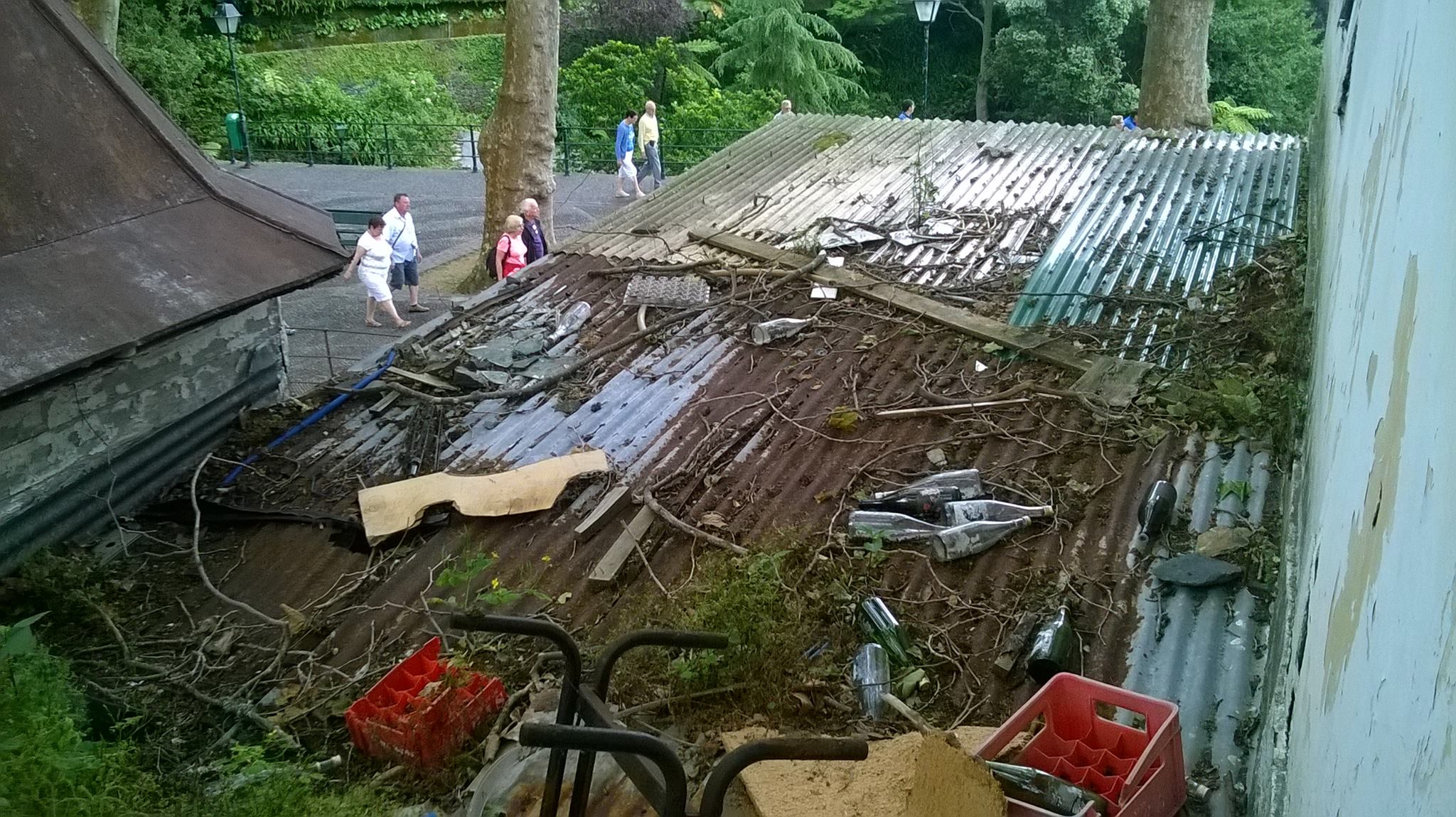 ‘Somos Todos Monte’ denunciam problemas de limpeza urbana e património