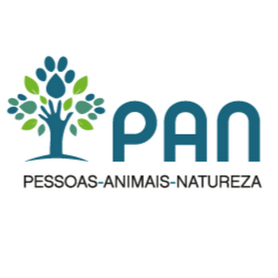 PAN Madeira dissolve-se em discordância com “autoritarismo” da direcção nacional