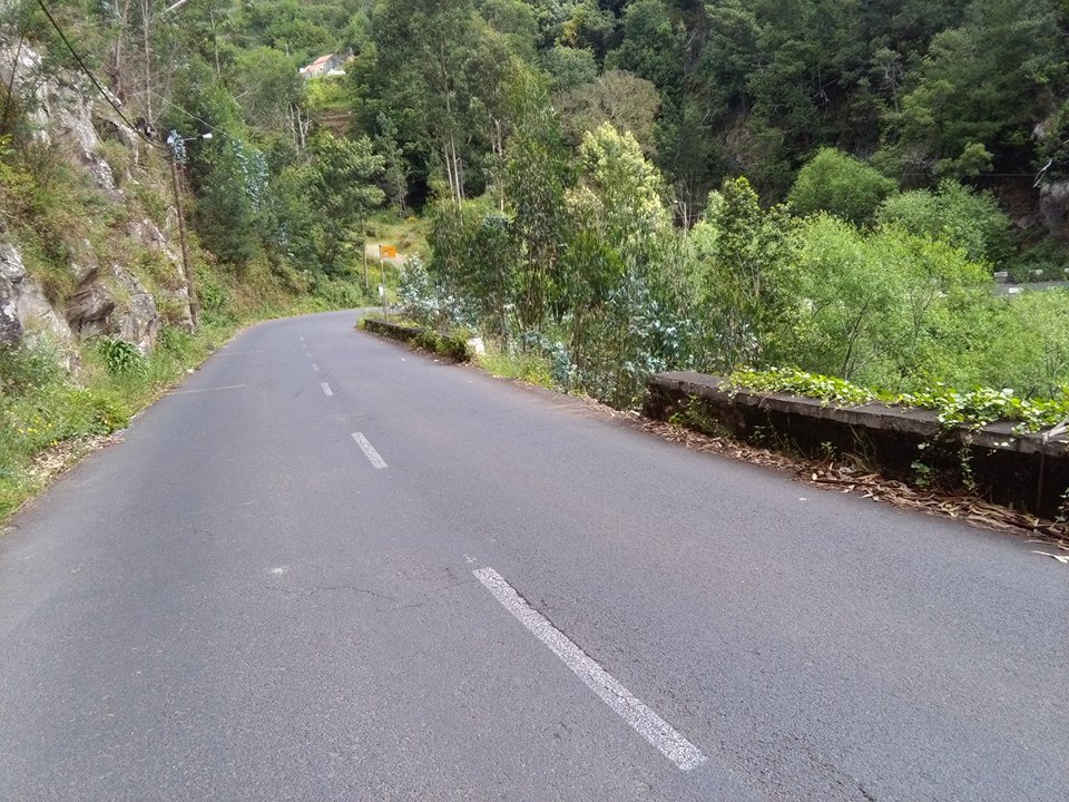 CDS denuncia mau estado de conservação da estrada Camacha/Santo da Serra
