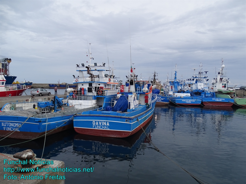 Diploma ‘corrigido’ sobre inspetores de pesca e agricultura entra amanhã em vigor