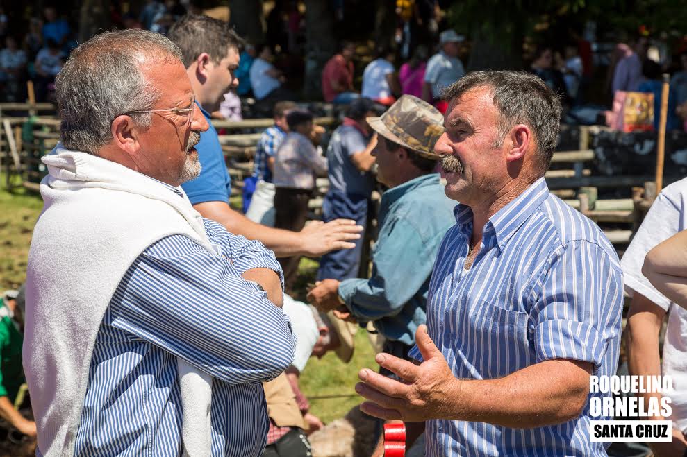Candidato do PSD a Santa Cruz admite estudar alargamento das zonas de pastoreio