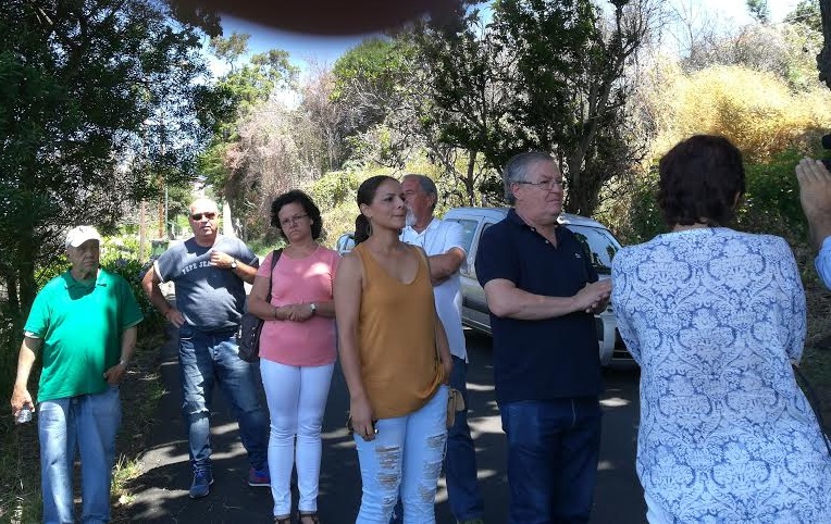 CDU pede limpeza do mata à volta do Hospital João de Almada