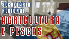 Luís Miguel Dantas nomeado Chefe de Divisão de Experimentação e Melhoria Agrícola