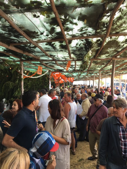 Militantes do PSD tomam conta da Herdade do Chão da Lagoa e já fazem a festa ao som das Doce