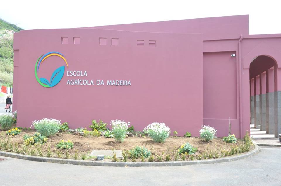 Conferência sobre notoriedade do vinho madeira amanhã em São Vicente