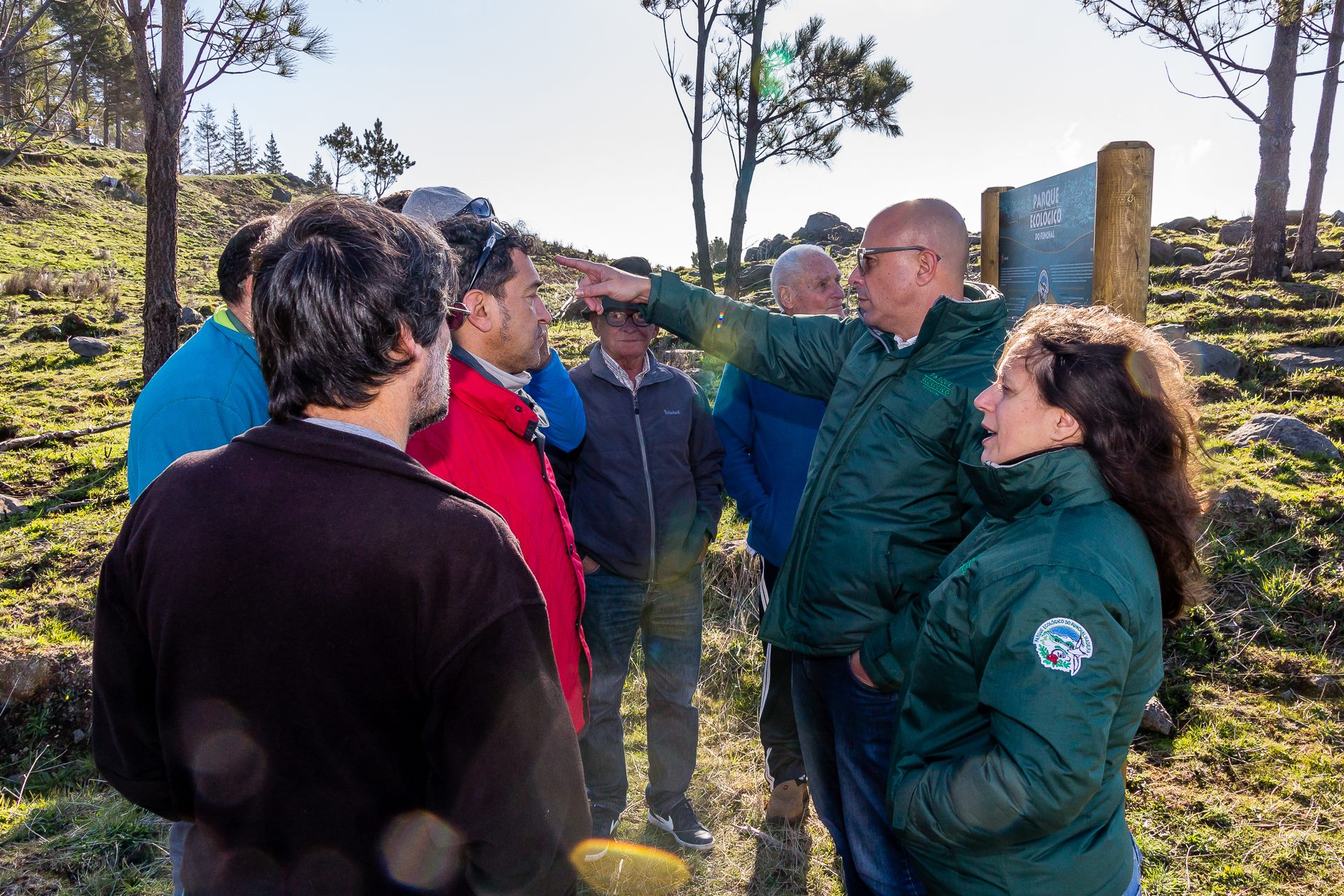 Funchal avança com reflorestação de 400 hectares do Parque Ecológico
