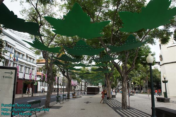 Cafôfo regozija-se e perspectiva Wi-Fi em toda a baixa funchalense