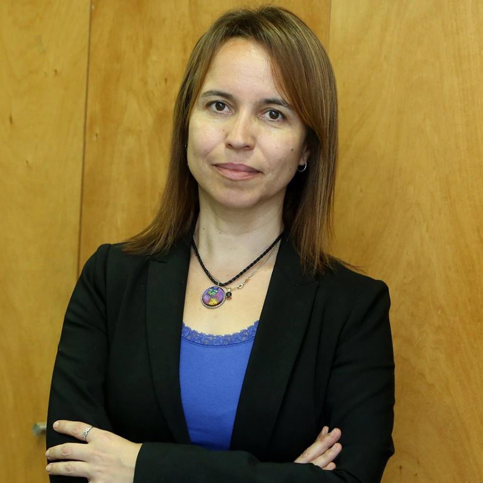 CDU formaliza hoje candidatura à Câmara de Santa Cruz