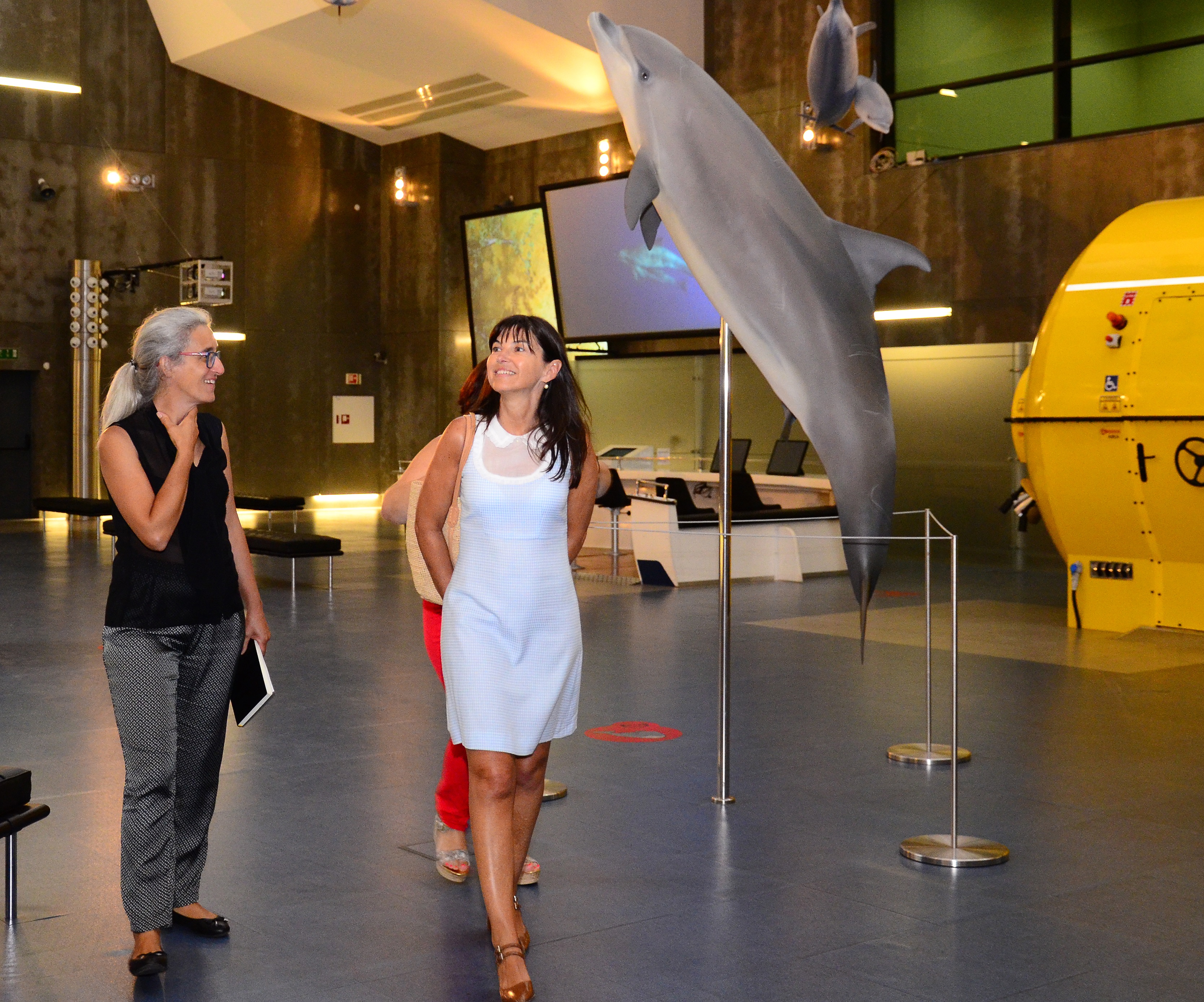 Workshop sobre o lobo marinho no museu da Baleia